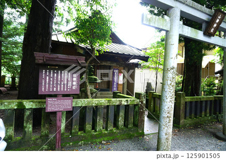 箱根大平台　山神神社 125901505