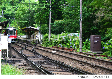 箱根登山鉄道　大平台駅 125901513