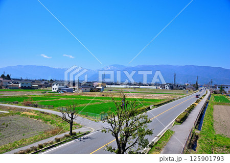 《長野県》松本市から見る北アルプスと県道48号 125901793