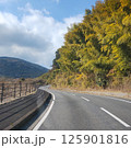 秋のビーナスラインから見た風景 125901816
