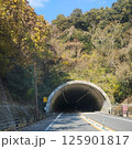 トンネルの手前 125901817