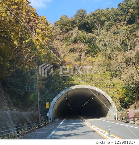 トンネルの手前 125901817