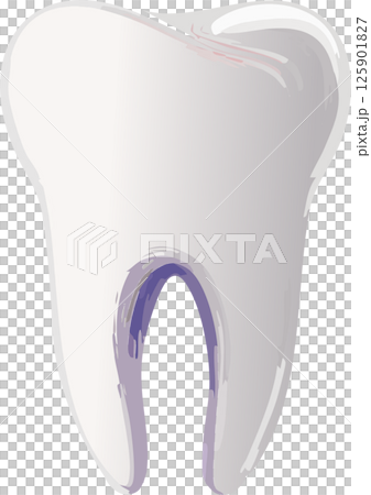 牙的例證 牙的例證 125901827