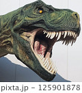 迫力満点のティラノサウルス模型   Lifelike Tyrannosaurus Model wit 125901878