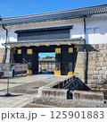 青空に映える二条城の東大手門   Higashi Otemon Gate of Nijo Castl 125901883