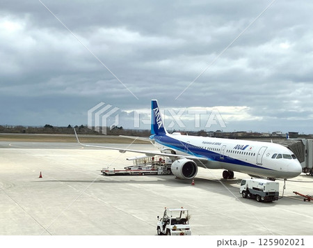 函館空港のANA機 函館空港のANA機 125902021