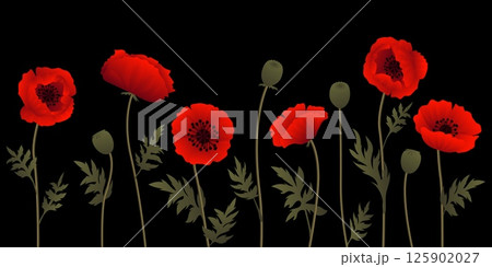 Seamless pattern of blooming red poppy flowers with green stems and leaves on black background elegant floral design with vibrant petals and seed pods botanical vector illustration for decoration 125902027