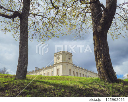 spring landscape with a Grand Palace. Gatchina 125902063