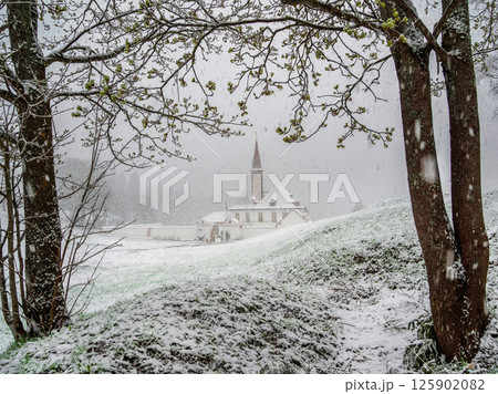 Spring snowfall. Blizzard in the Gatchina park. Spring snowfall. Blizzard in the Gatchina park. 125902082