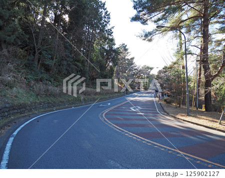 東京のカーブの続く峠道。 聖蹟桜ヶ丘。 125902127
