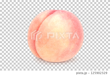 桃のイラスト 水彩 白桃 125902329