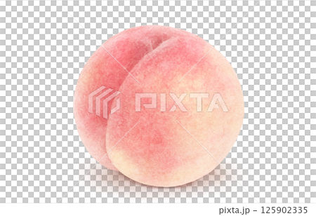 Peach illustration watercolor white peach 125902335