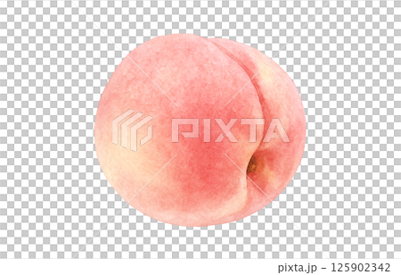 Peach illustration watercolor white peach 125902342
