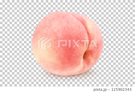 桃のイラスト 水彩 白桃 125902343