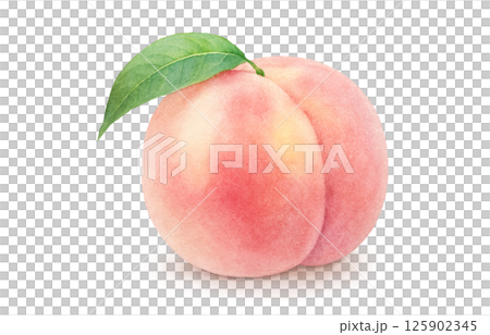 桃子插畫水彩白桃 125902345