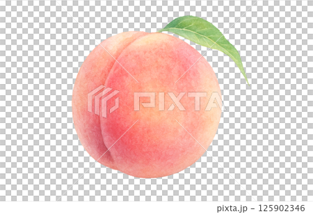 Peach illustration watercolor white peach 125902346