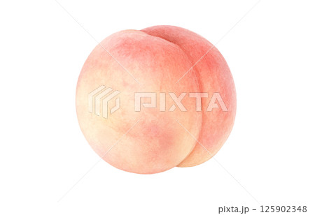 桃のイラスト 水彩 白桃 125902348