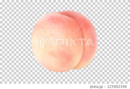 桃のイラスト 水彩 白桃 125902348