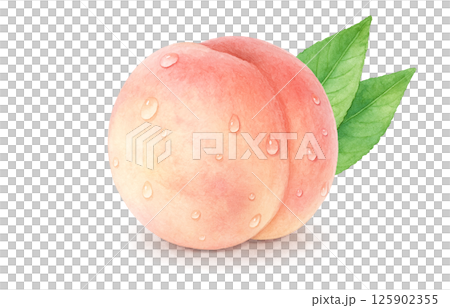桃のイラスト 水彩 白桃 桃のイラスト 水彩 白桃 125902355