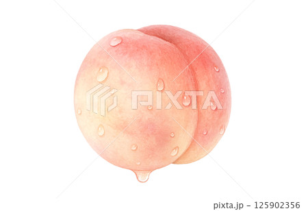 桃のイラスト 水彩 白桃 桃のイラスト 水彩 白桃 125902356