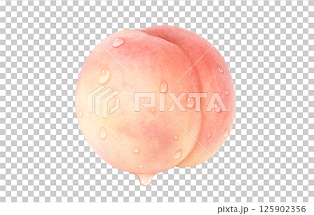 桃のイラスト 水彩 白桃 桃のイラスト 水彩 白桃 125902356