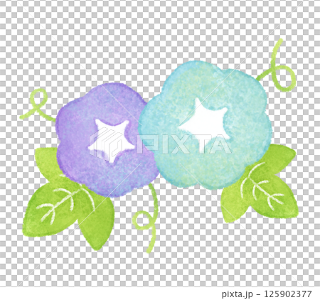 紫色和藍色牽牛花插圖 紫色和藍色牽牛花插圖 125902377