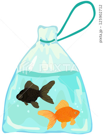 金魚すくい 黒出目金と琉金 ベクター素材 125902712