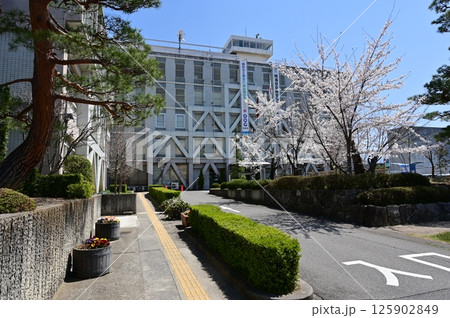 行政機関・松本市役所(長野県)と桜 行政機関・松本市役所(長野県)と桜 125902849
