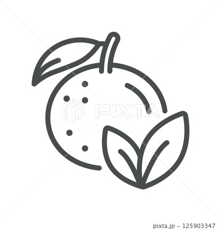 Vector Orange with Leaf Icon. Simple Line Illustration of a Whole Orange with Leaves, Representing Sustainable Citrus Farming and Eco Friendly Natural Nutrition. Vector Orange with Leaf Icon. Simple Line Illustration of a Whole Orange with Leaves, Representing Sustainable Citrus Farming and Eco Friendly Natural Nutrition. 125903347