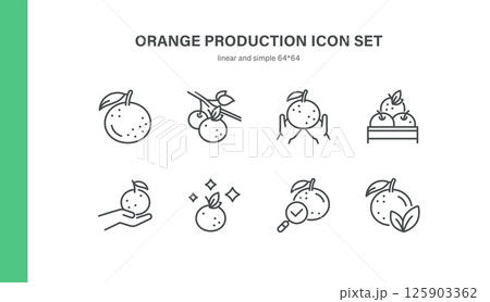 Orange Production Icon Set. Thin Line Illustrations of Citrus Harvesting, Picking, Sorting, Crate Packing, Quality Control and Orchard Management for Agriculture and Food Industry Processes 125903362
