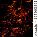 ライトアップされた紅葉 125903891
