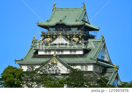 早朝 展望台にお客さんが入場する前の大阪城天守閣 ( fix撮影 ) 早朝 展望台にお客さんが入場する前の大阪城天守閣 ( fix撮影 ) 125903976