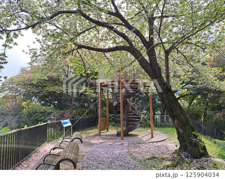北九州市の公園 参 北九州市の公園 参 125904034