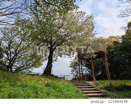 北九州市の公園 壱 北九州市の公園 壱 125904036