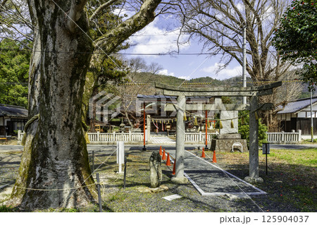 林野神社 鳥居 岡山県美作市 林野神社 鳥居 岡山県美作市 125904037