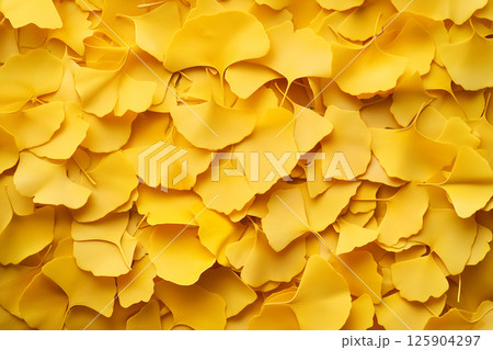 A vibrant arrangement of yellow ginkgo biloba leaves with detailed texture and pattern. 125904297