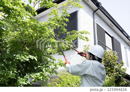 伸びた庭木を切る作業員 125904826