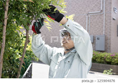 伸びた庭木を切る作業員 125904876