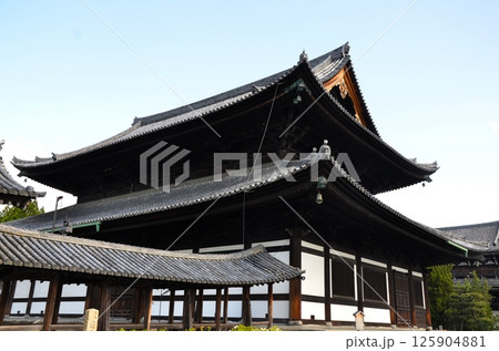 東福寺 本堂（仏殿） 125904881