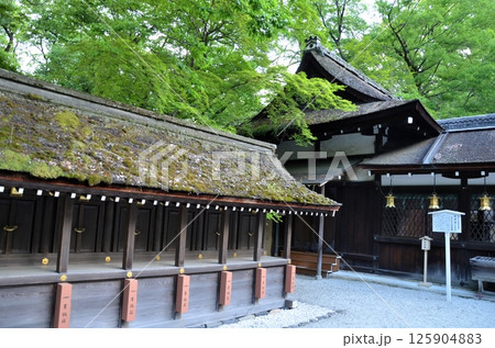 下鴨神社 河合神社 125904883