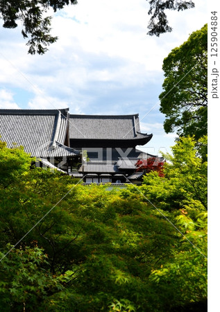 東福寺 三門と本堂（仏殿） 125904884