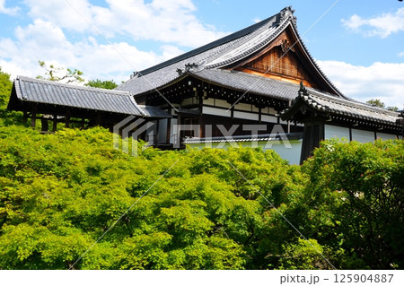東福寺 方丈 125904887