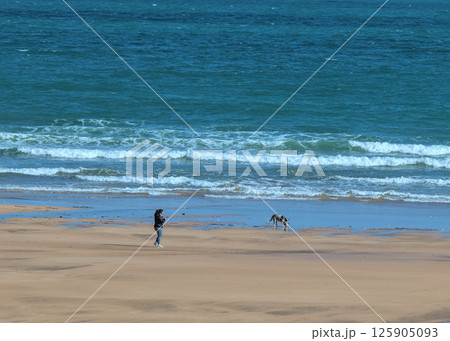 woman walking her dog on the beach looking at her cell phone woman walking her dog on the beach looking at her cell phone 125905093