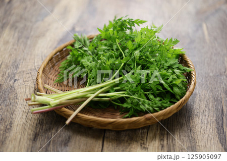 ヤマニンジン 125905097