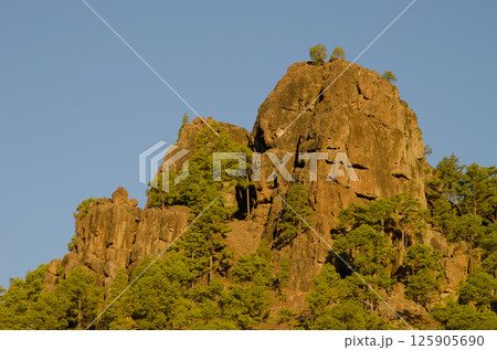 Cliff of the Morro de La Negra. 125905690