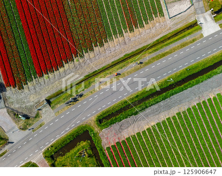 Aerial view of colorful agricultural fields with perfectly aligned rows, creating a stunning geometric pattern of green, red, and brown crops divided water canal. 125906647