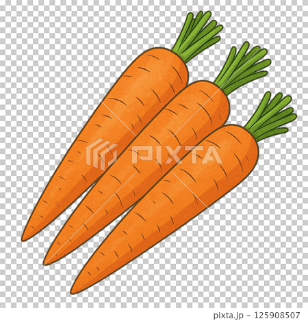 Carrot illustration (anime style, bright orange color) 125908507
