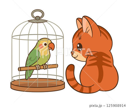 Ginger tabby kitten looking at a parrot in birdcage. Chibi Flat style icon Ginger tabby kitten looking at a parrot in birdcage. Chibi Flat style icon 125908914
