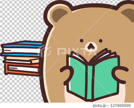 cute bear reading a book 125909000