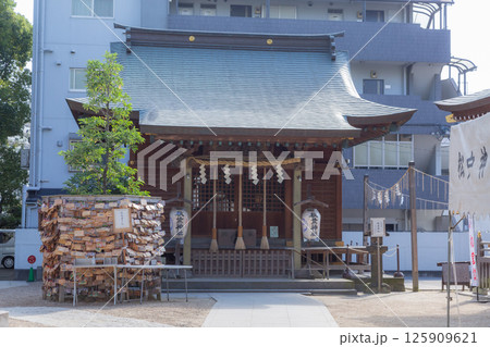 【日本】千葉県の松戸神社の注連縄が掛かった社殿と展示されたたくさんの絵馬 125909621